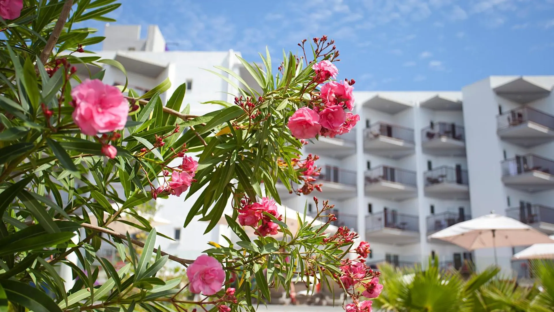**** Hotel Fergus Bermudas Palma Nova  Spain